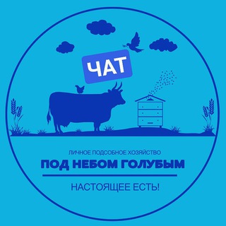 Под небом голубым