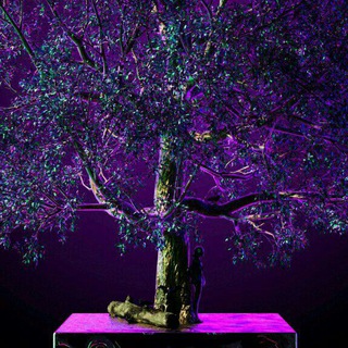 ✨Психологическая помощь ✨