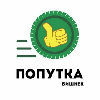 Попутка 312