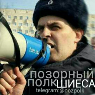 позорный полк (чат)