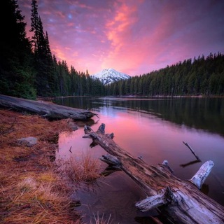 Взаимный Пиар Чат