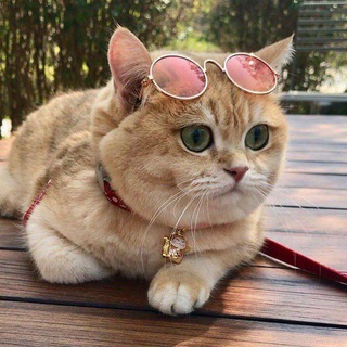 привіт справи добре