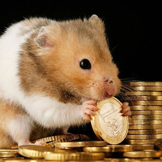 Работа / подработка / заработок онлайн 🚀🆙 🇷🇺 🇺🇦 🇱🇻 🇱🇹 🇪🇪 🇰🇿 Россия, Украина, Латвия, Литва, Эстония, Казахстан