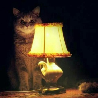 Читатели 📚 🌨☕️