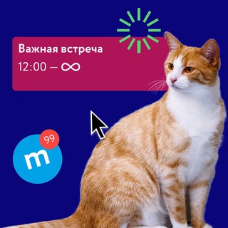 Как не сойти с ума, работая из дома