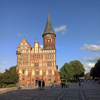 Калининград работа квартира реклама