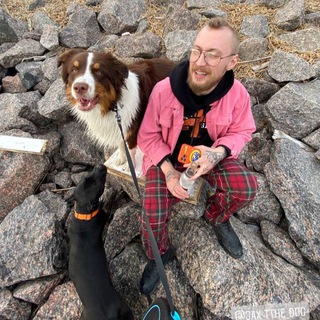 СОБАЧЬИ ДЕЛА ЖК «Я — Романтик»