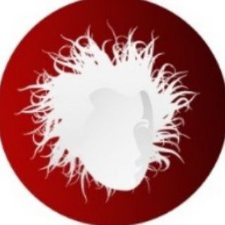 AMADEUS • Необычные концерты