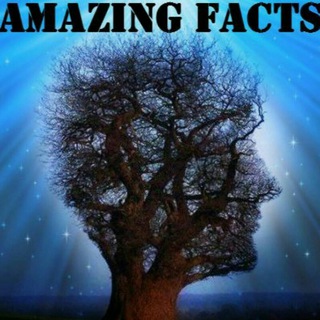 Забавные вещи. Забавные новости. Amazing news. Amazing things.