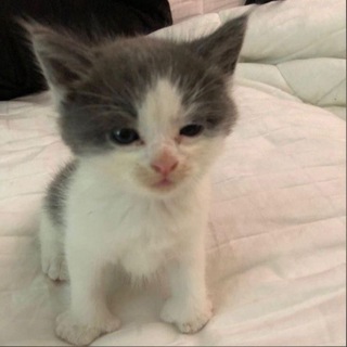 кладбище надежд