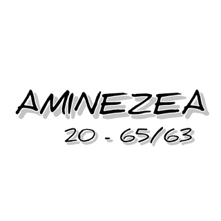 AMINEZEA 20-65/63