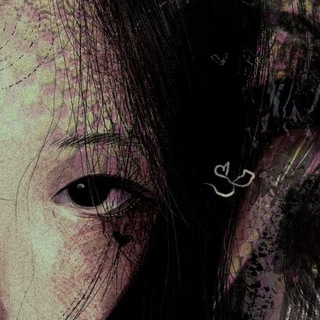 sex shop/Amphetamine💓