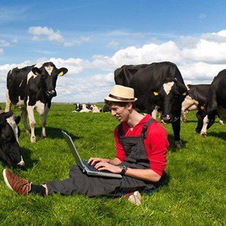 Аграрии России | Чат