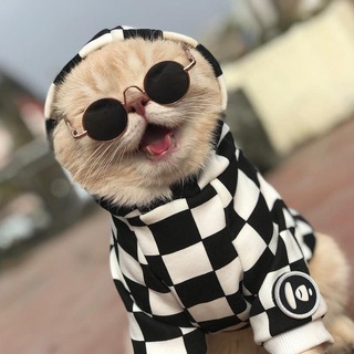 Лучшие из лучших