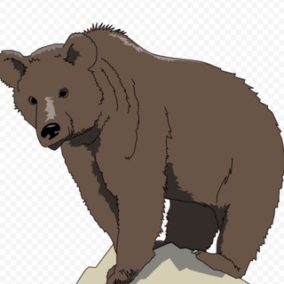 🇷🇺 Россия - Pasta