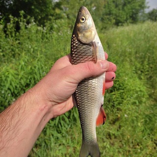 Рыбалка в Краснодаре и Краснодарский край, Адыгея, а также Всего ЮФО )))