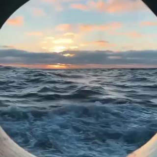 Рыздвяный чат