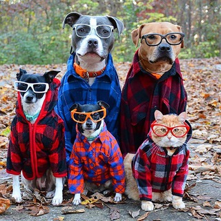 🐶 Животные Сахалин 65