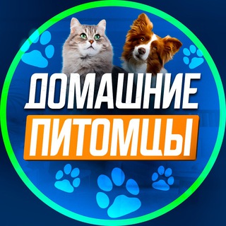 ДОМАШНИЕ ПИТОМЦЫ. Сахалин.