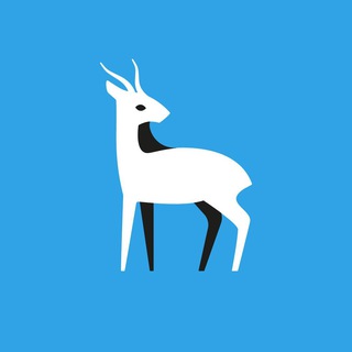 Самара: областной чат