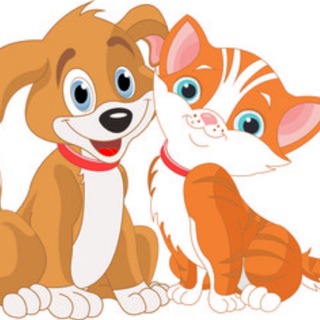 Самуи & Питомцы / Samui & Pets