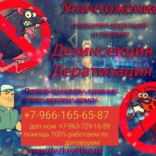 Дезинфекция Насекомых(Клопов,Тараканов и.т.д Москва и Область)🕷🪳🪰🐜🐞🦟🦗🕷🕸