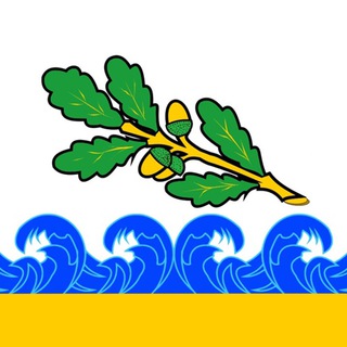 Чат-Сестрорецк