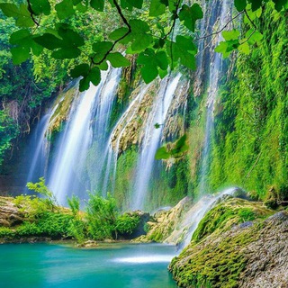 ЩЁЛКОВО, БАЛАШИХА, НОГИНСК, ПУШКИНО... ( ДОСКА ОБЪЯВЛЕНИЯ)