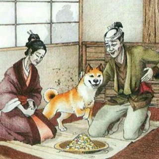 Щенки СИБА&Акита и другие коренные японские породы