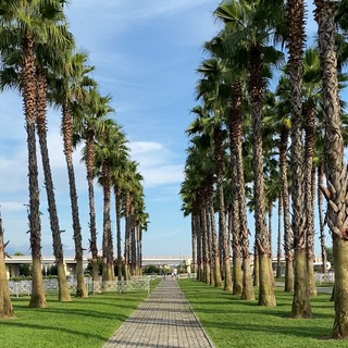 Сириус Нетипичный Город