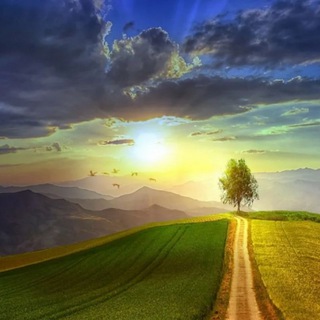 ☘Дорога к здоровью☘с Siberian Wellness ☘