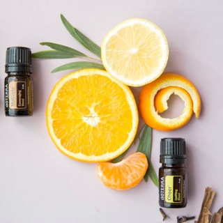 с миром и эфиром