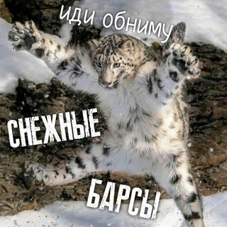 ОПГ СНЕЖНЫЕ БАРСЫ😺