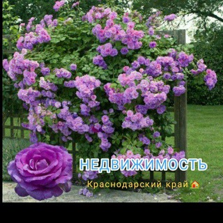 🏡Сниму, сдам, продам жильë в Геленджике и по всему Краснодар. краю⚜️НЕДВИЖИМОСТЬ 🏖🏡☀