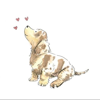 СОБАКИ БУТОВО 🐕