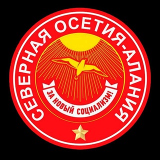 ЧАТ ЗНС (Публичная РСО-А)