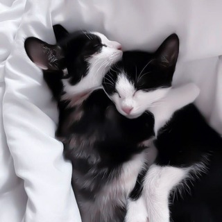 Поиск соролов.(все фд.)