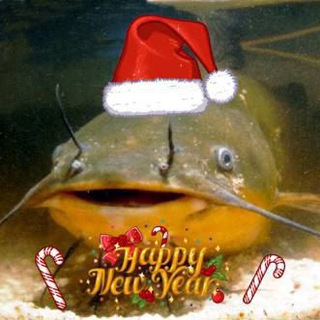 Чат СОМнений - Так всё-таки делать прививку или нет?