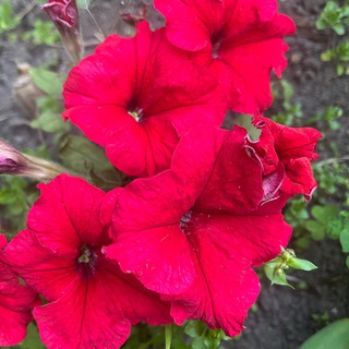 Заработок в интернете