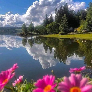 🔥ЯРА СВЕТ🔥