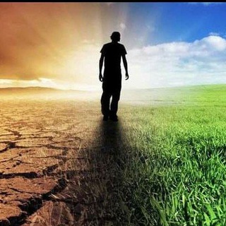 Сводки войны. Черкассы