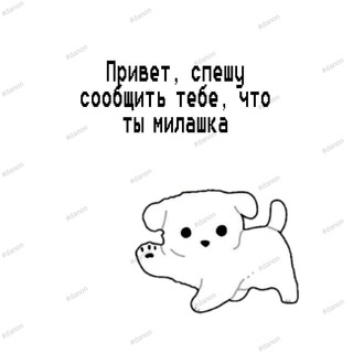 W1SOR STORE | CHAT ❄️☃️