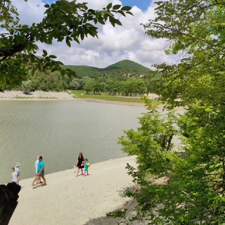 Аренда в Сукко. Предложения и запросы. (СуккоградЪ)