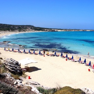 Северный Кипр. Чат. SurkonEstate