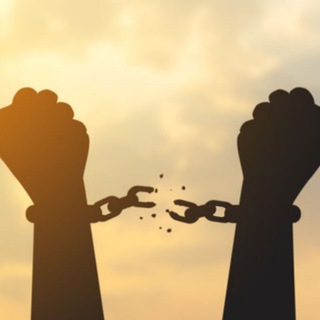 Чат свобода🎁🎄🎉