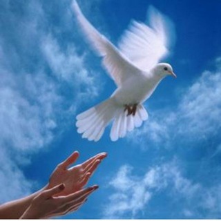 КАЗАХСТАН РЕКЛАМС