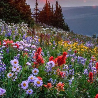 Здоровая семьЯ!!! 👫