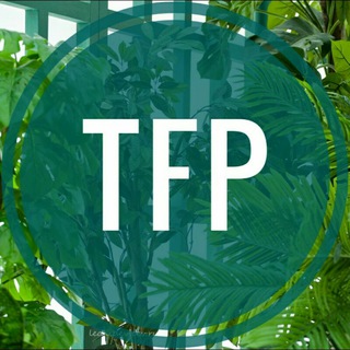 Ищу Модель. TFP (ТФП) Ищу Фотографа. Кастинг.