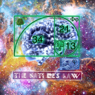 🌀The Nature law🌻 Chat