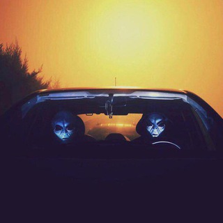 🤙 Relax time Bro 🤙